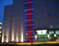 Led Boyama 5